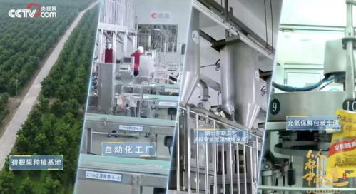 一季度營(yíng)業(yè)總收入增長(zhǎng)達(dá)36 ,洽洽食品迎來(lái) 開門紅